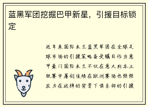 蓝黑军团挖掘巴甲新星，引援目标锁定