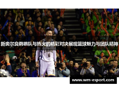 新奥尔良鹈鹕队与热火的精彩对决展现篮球魅力与团队精神